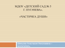 МДОУ Детский сад № 5 г. Пугачева. Частичка души