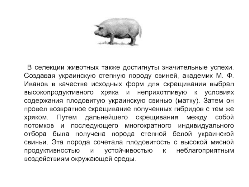 В селекции животных также достигнуты значительные успехи. Создавая украинскую степную породу свиней, академик М. Ф. Иванов в