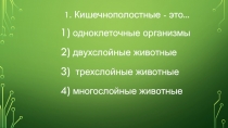 1. Кишечнополостные - это...
одноклеточные организмы
двухслойные