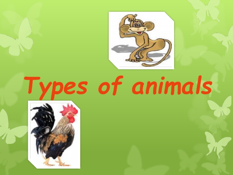 types of animals 