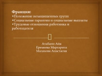 Франция: •Положение незащищенных групп •Социальные гарантии и социальные