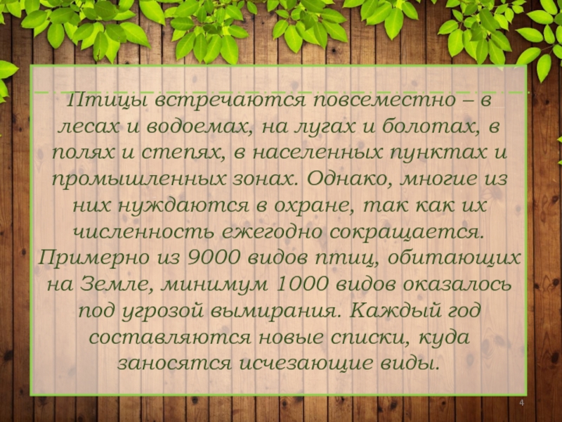 Среди необозримых лесов. Текст "леса в Мещере глухие". Среди необозримых полей лесов текст.