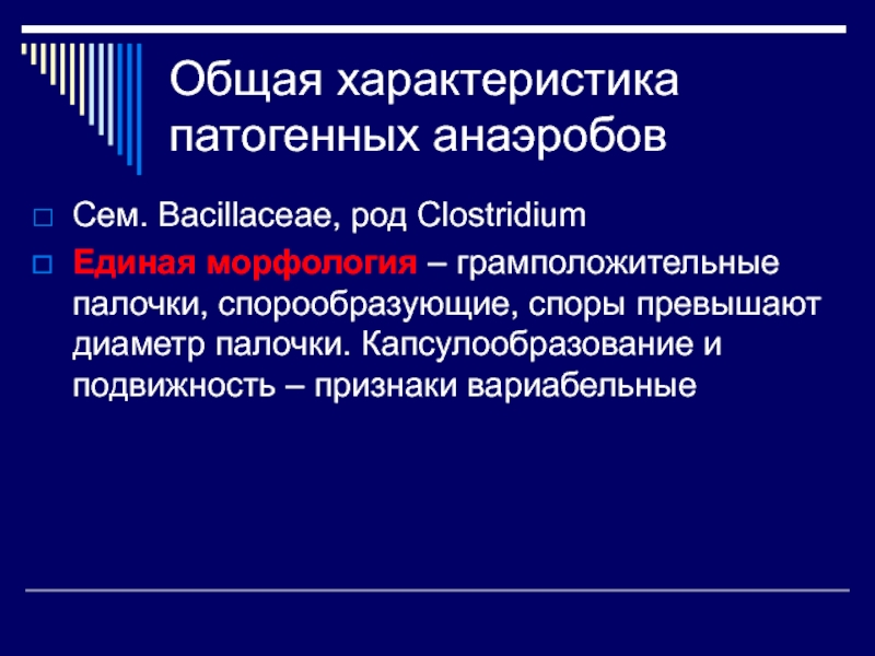 Общая характеристика патогенных анаэробов