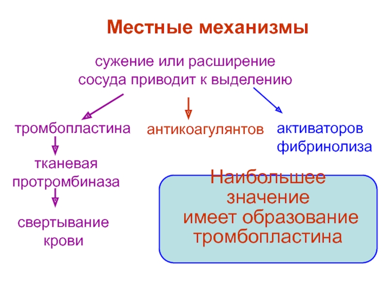 Муниципальные механизмы