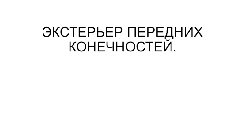 Презентация ЭКСТЕРЬЕР ПЕРЕДНИХ КОНЕЧНОСТЕЙ