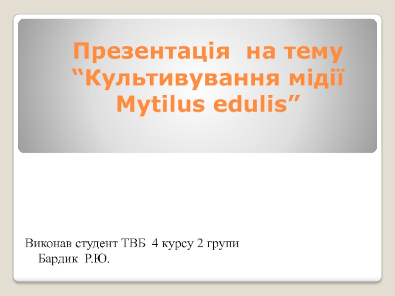 Презентація на тему “Культивування мідії Mytilus edulis ”