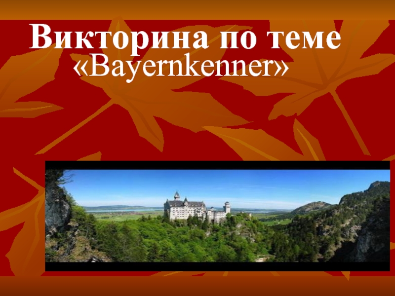 Презентация Викторина по теме  «Bayernkenner»