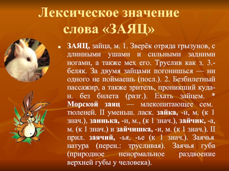 Заячья натура. Значение слова заяц. Лексическое значение слова заяц. Переносное значение слова заяц. Лексическое значение слова зая.