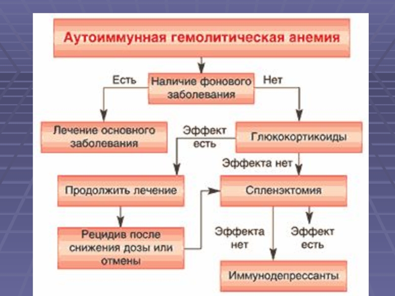 Гемолитическая анемия презентация