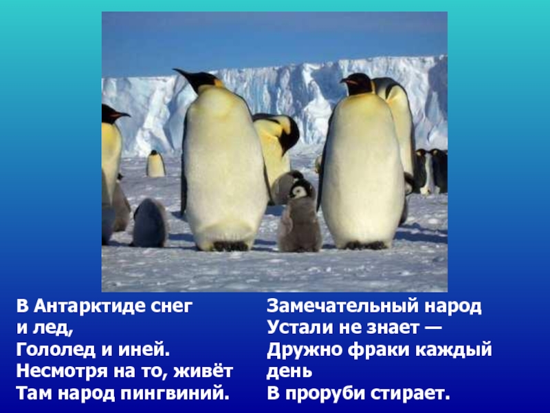 Презентация на тему антарктида 2 класс на окружающий мир