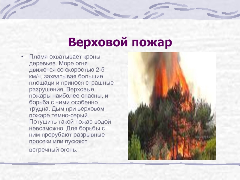 Верховой пожар сдо ржд. Верховой пожар. Верховой пожар наиболее. Верховой пожар наиболее опасен. Тип пожара охватывающий кроны деревьев.