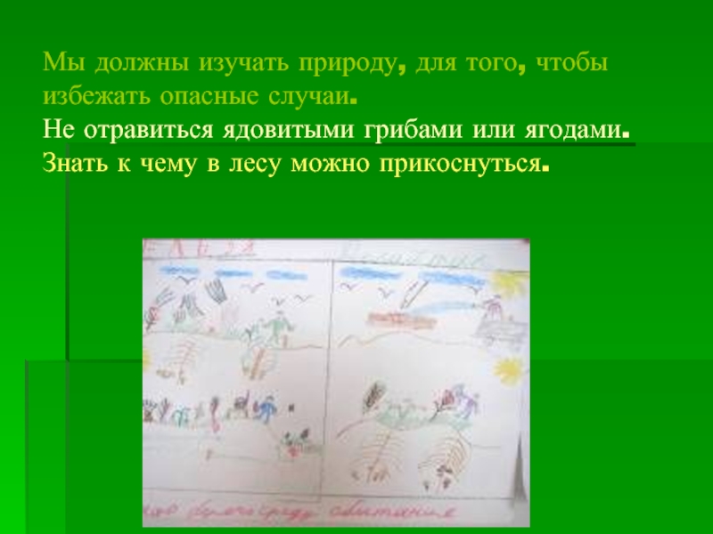 Кто изучает природу. Почему необходимо изучать природу. Зачем мы изучаем природу. Почему человек изучает природу. Для чего необходимо изучать природу своей страны.