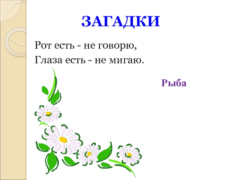 Скажи загадки. Загадка про рот. Загадка про рот для детей. Загадка про ротик. Загадка про рот для детей 6-7 лет.