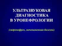 УЛЬТРАЗВУКОВАЯ ДИАГНОСТИКА В УРОНЕФРОЛОГИИ (гидронефроз, мочекаменная болезнь )