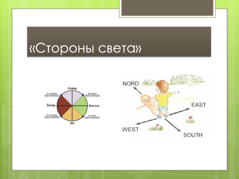 Стороны света окружающий мир