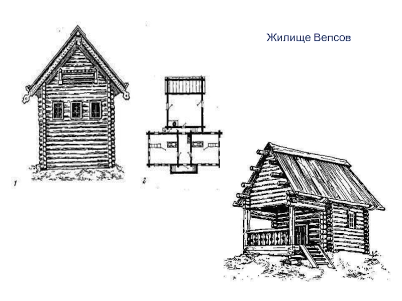 Финно угорское племя 4. Жилище вепсов. Земли вепсов карта.