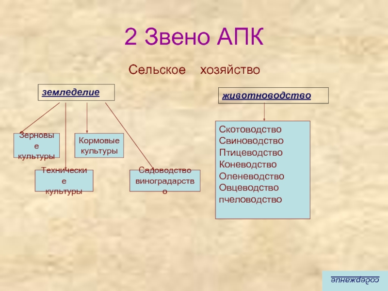 Основным звеном апк является