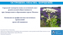 ОСТРОЖНО, ОПАСНО, БОРЩЕВИК
Городской экспертно-консультативный совет
