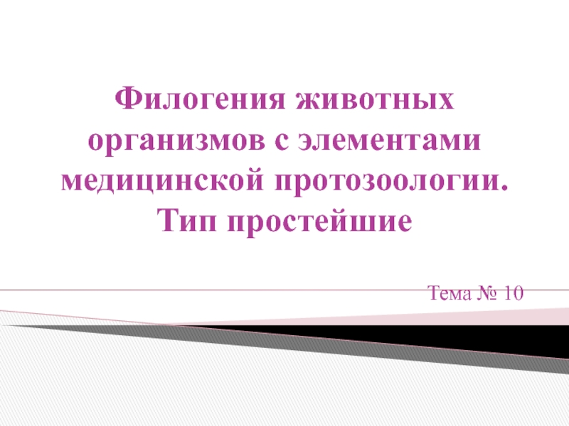 Филогения животных организмов с элементами медицинской протозоологии. Тип