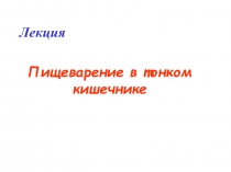 Лекция