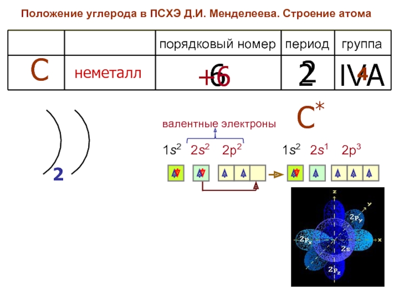 Нарисовать строение атома углерода