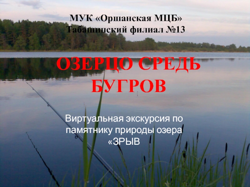 МУК Оршанская МЦБ Табашинский филиал №13