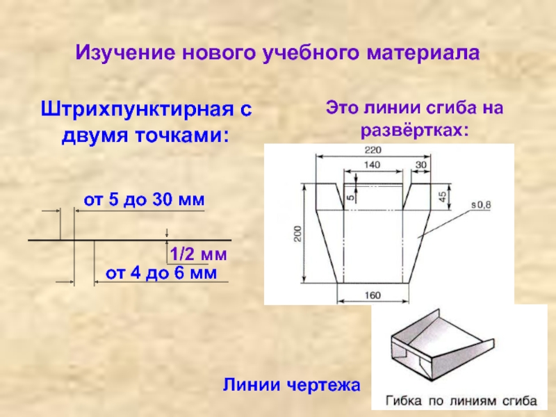 Линии сгиба на изображении обозначают