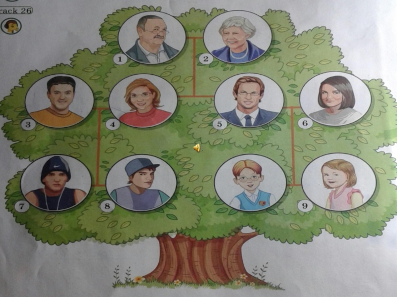 Английский язык дерево проект. Семейное Древо по английскому. Древо семьи на английском языке. Генеалогическое дерево семьи на английском. Генеалогическое дерево по английскому языку.