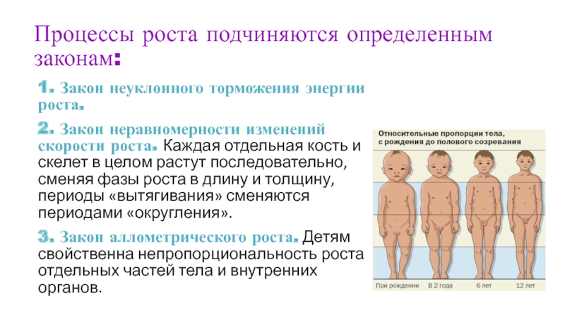 Меняется рост. Закон неравномерности скорости роста. Закон неуклонного торможения роста. Закон неравномерности изменений скорости роста это. Процесс роста.