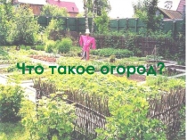 Что такое огород для детей