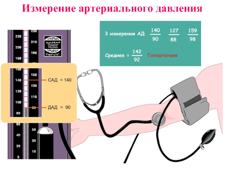 Презентация артериального давления