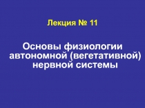 Лекция № 11