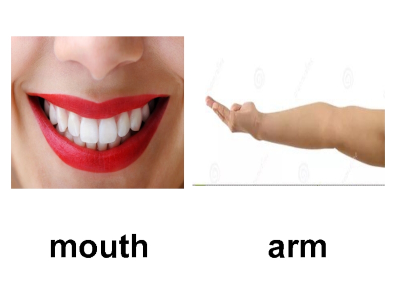 Резиновы1 рот. Ш 1 рты