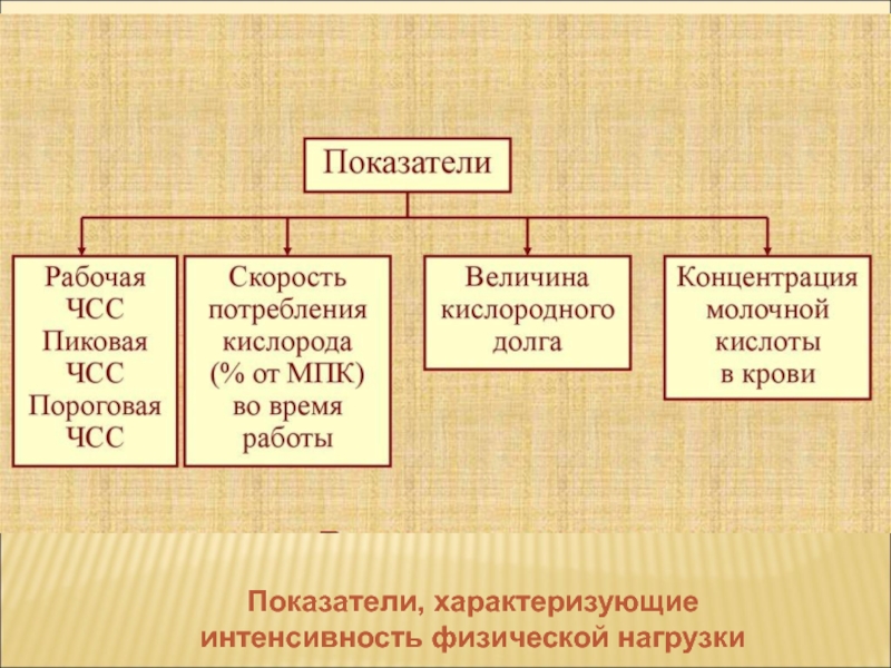 К показателям характеризующим физическое. Показатели характеризующиеся физ развитие человека.