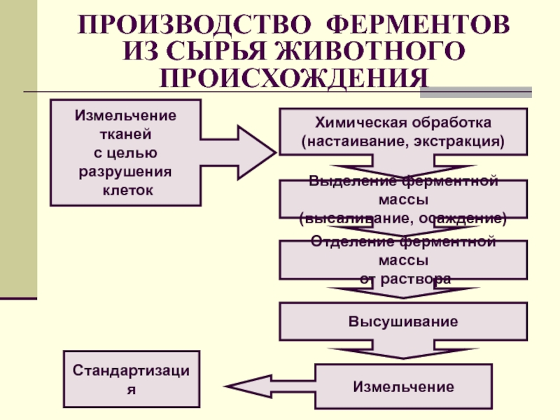 Схема производства ферментов