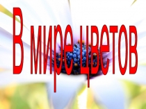 В мире цветов