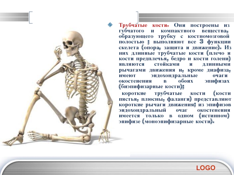 Какую роль выполняет скелет. Трубчатые кости. Трубчатые кости образуют скелет. Трубчатые кости функции. Что образуют трубчатые кости в основном скелете.