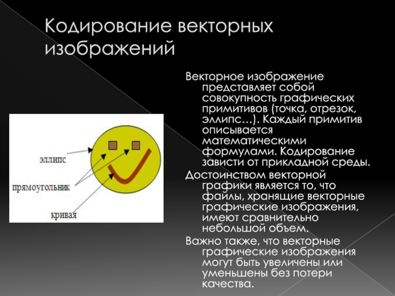 Какие виды изображений из перечисленных лучше кодировать в векторном формате график