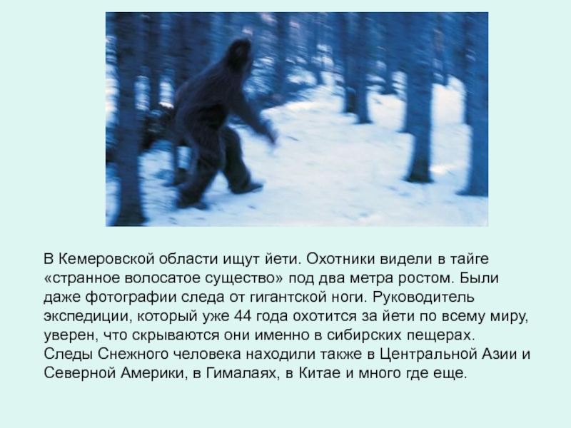Снежный человек рассказы. Описание Йети. Снежный человек миф или реальность. Снежный человек в Кемеровской области.