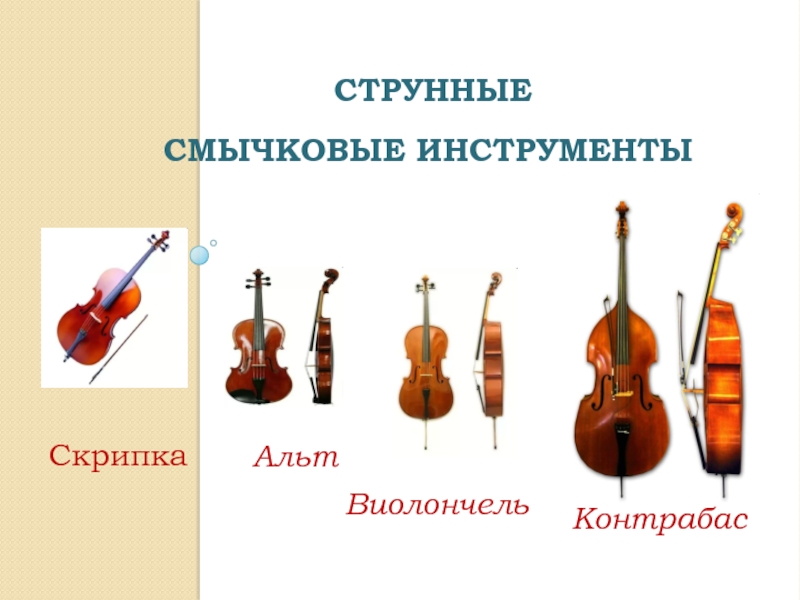 Струнные музыкальные инструменты названия и фото