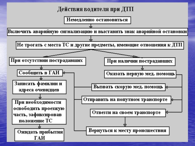 Права и обязанности водителя в украине