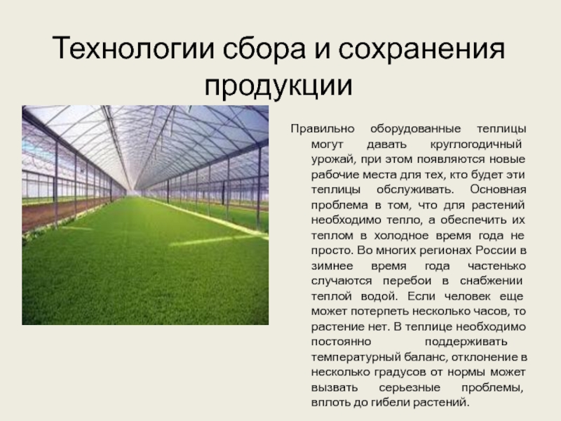 Сохранение товара. Технологии сохранения продуктов. Информационные технологии в АПК презентация. Презентация технологии сохранности урожая. Технологии которые применяются для сохранения урожая.