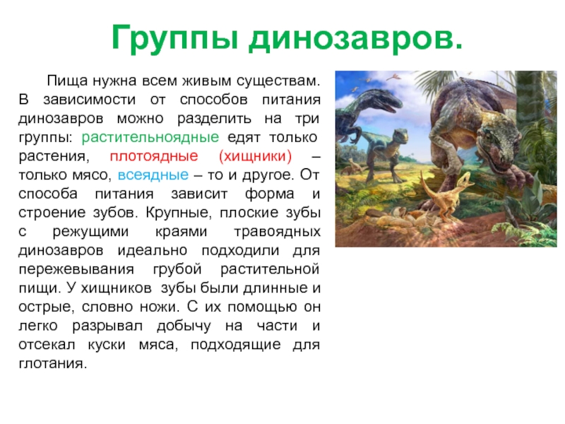 Составьте план предполагаемой экскурсии на тему древние обитатели нашей планеты