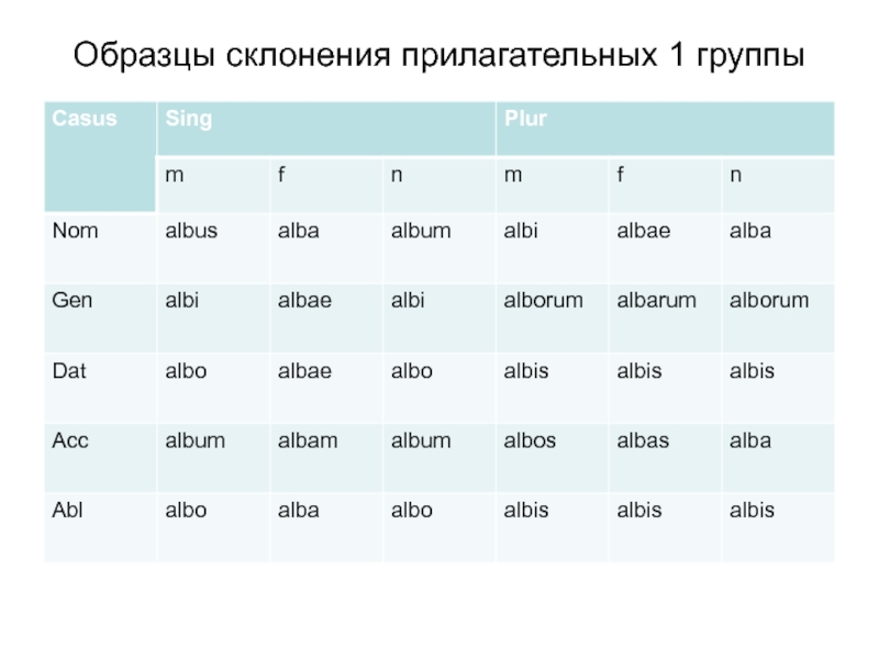 Образцы склонения прилагательных 1 группы