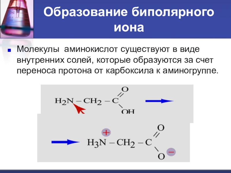 Аминокислота образуется в процессе. Образование аминокислот. Открытие аминокислот. Внутренняя соль аминокислоты. Аминокислоты с образованием двух солей.