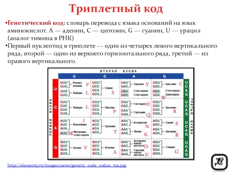 Генетический код презентация 10 класс биология