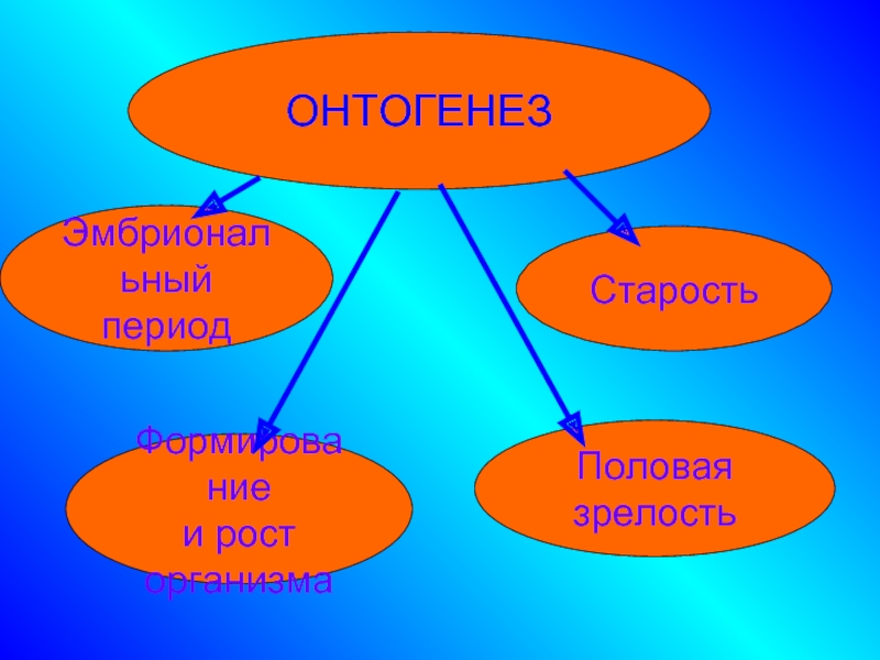 Периодизация и продолжительность жизни животных 7 класс презентация латюшин