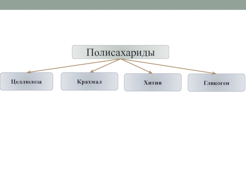 Полисахариды презентация по химии