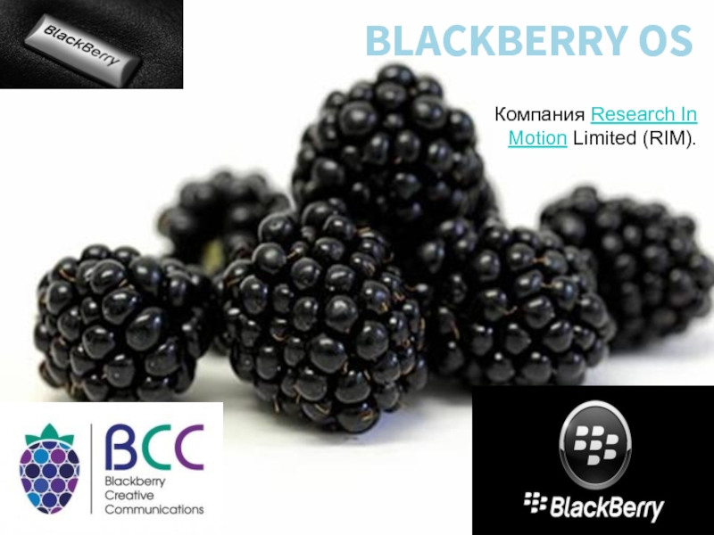 Презентация BlackBerry OS