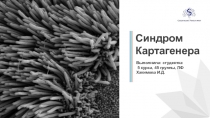 Синдром Картагенера
Выполнила: студентка
5 курса, 45 группы, ЛФ
Хакимова И.Д